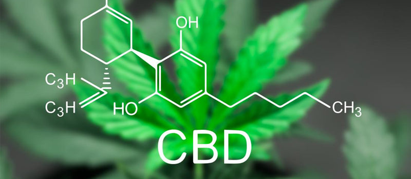 5 Possible Uses of CBD
