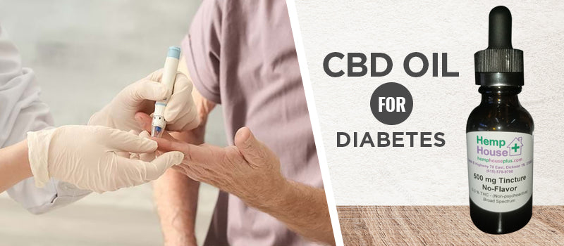 CBD oil for Diabetes Prevention Treatment Hemp House Plus